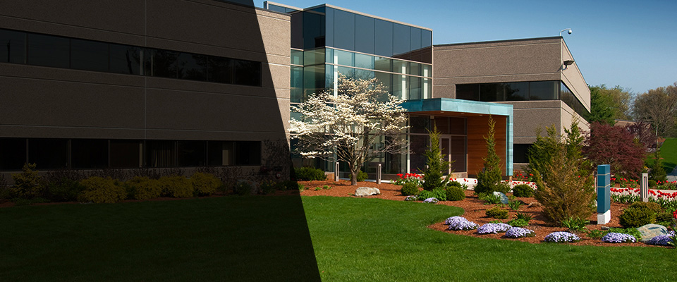 Plant City Landscapers