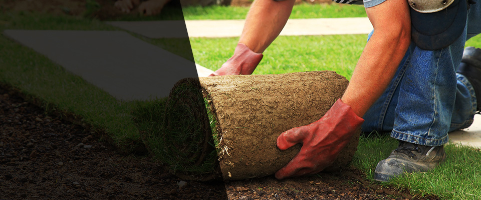 Plant City Landscapers